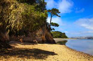 Tomales Bay-6643 Tomales Bay-6643